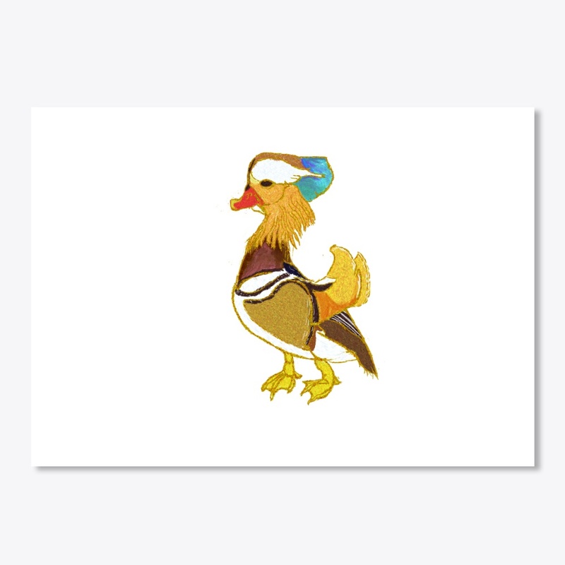 Mandarin duck