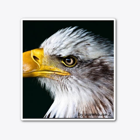 Eagle Standard Kaos Front