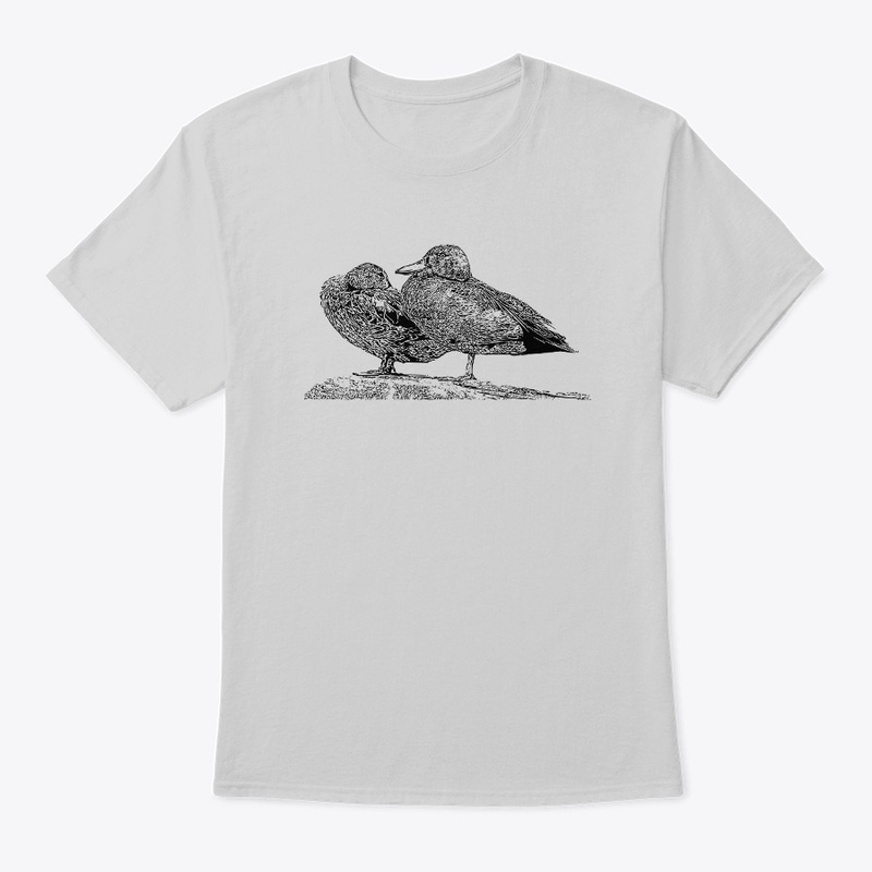Cinnamon Teal