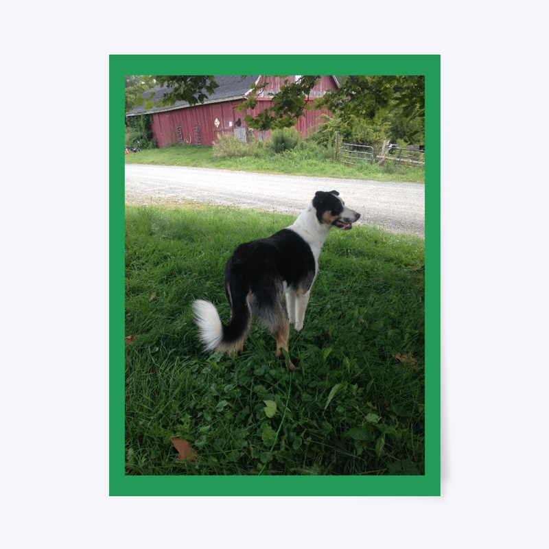 The working dog