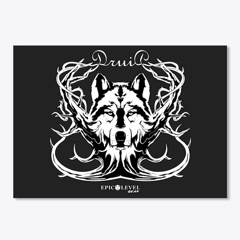 Druid Dungeons and Dragons D and D