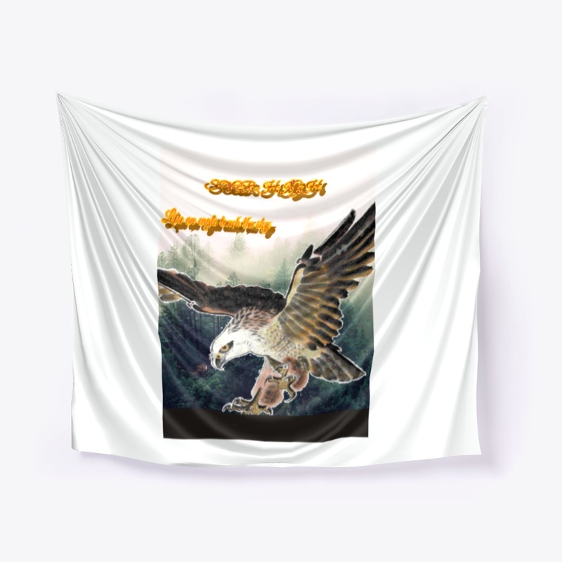 fly eagle