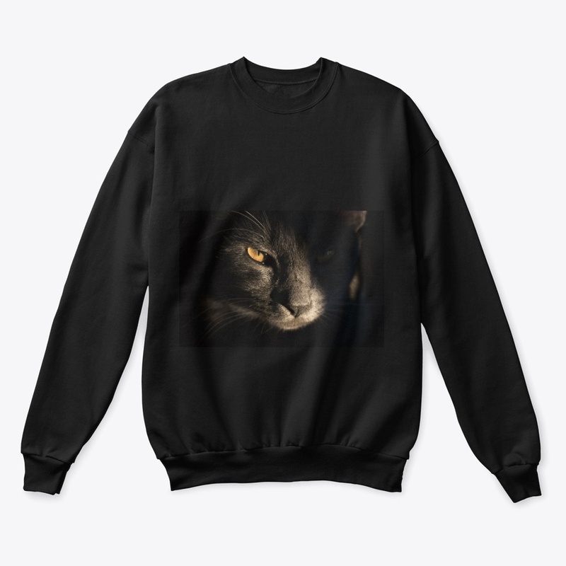 Black Cat