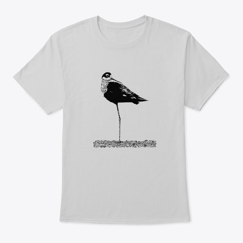 Black-necked Stilt