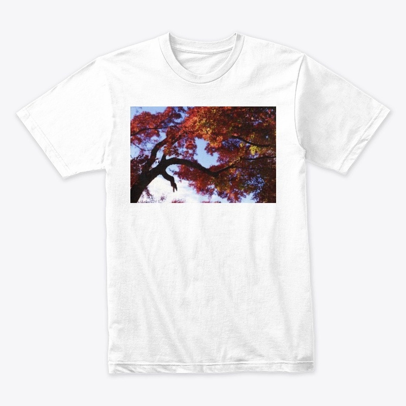 Japanese Maple at Autumn