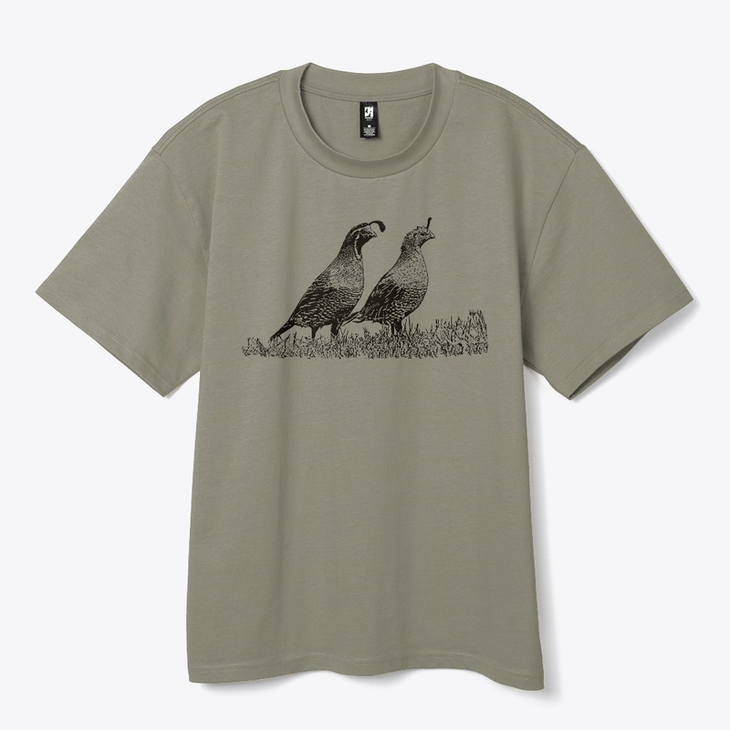 California Quail Birdwatching