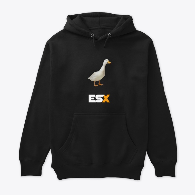 Ducks