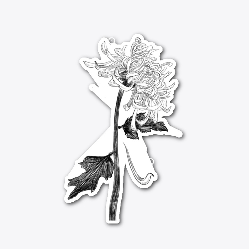 Hand drawing chrysanthemum