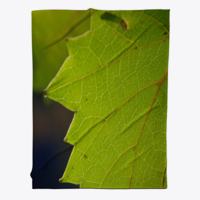 green leaf macro
