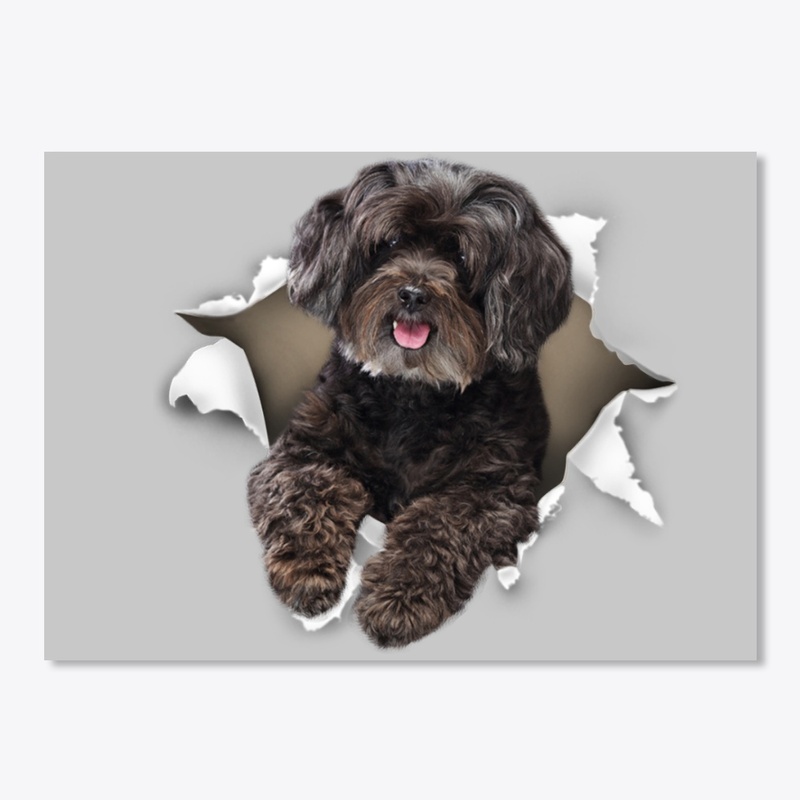 Schnoodle Torn Paper