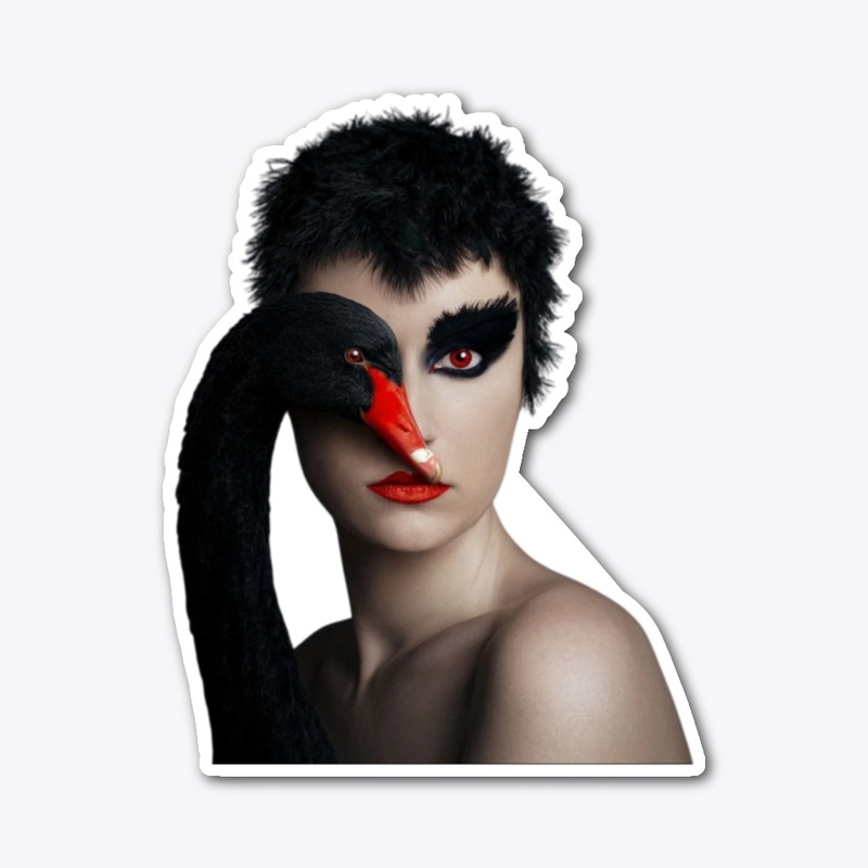 Birds Eye View Modern Fashion