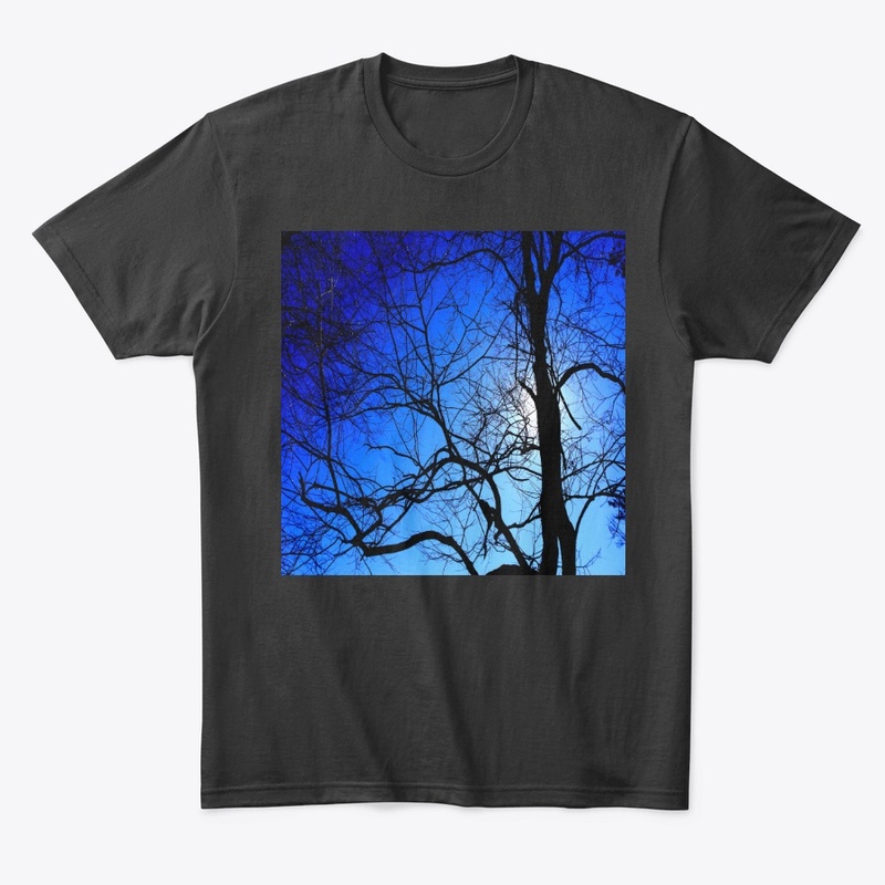 black tree blue sky 
