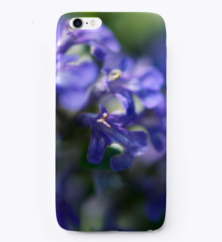 Blue and purple flowers in nature