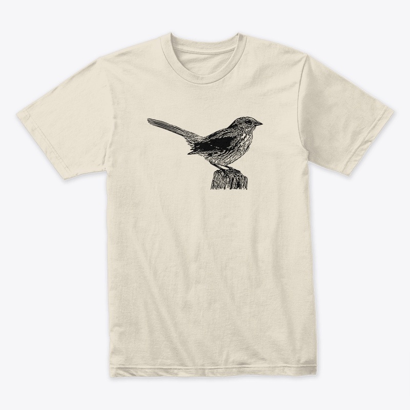 Song Sparrow Birdwatching