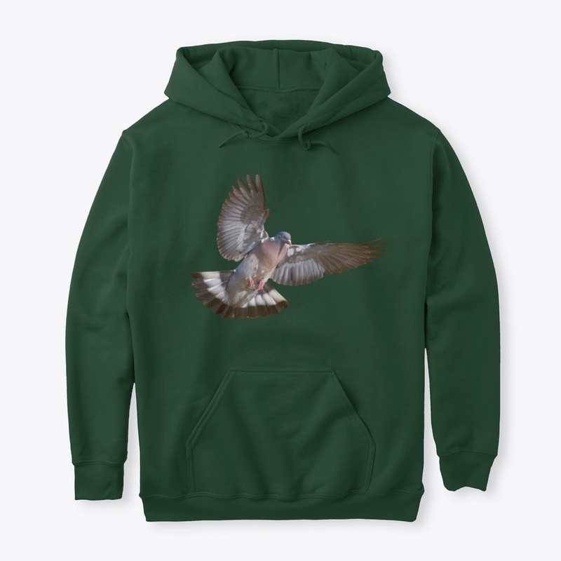 chasse pigeon ramier