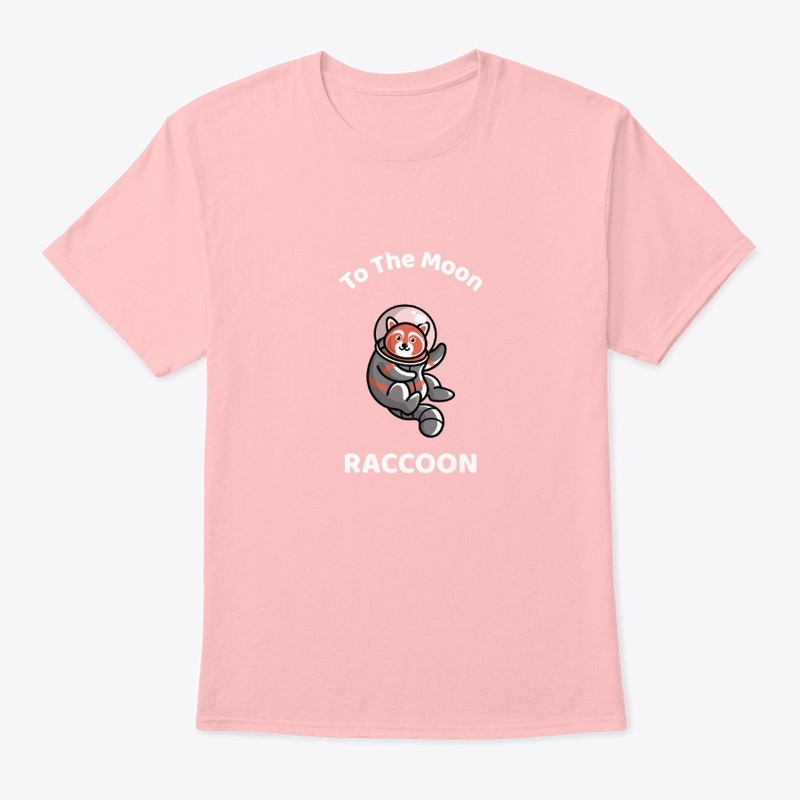 Racoon to the moon