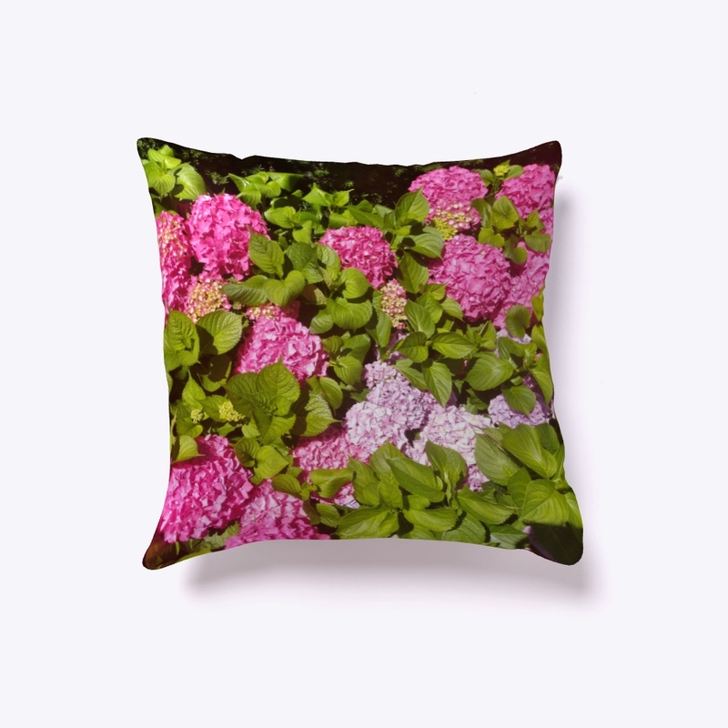 Hydrangeas Collection