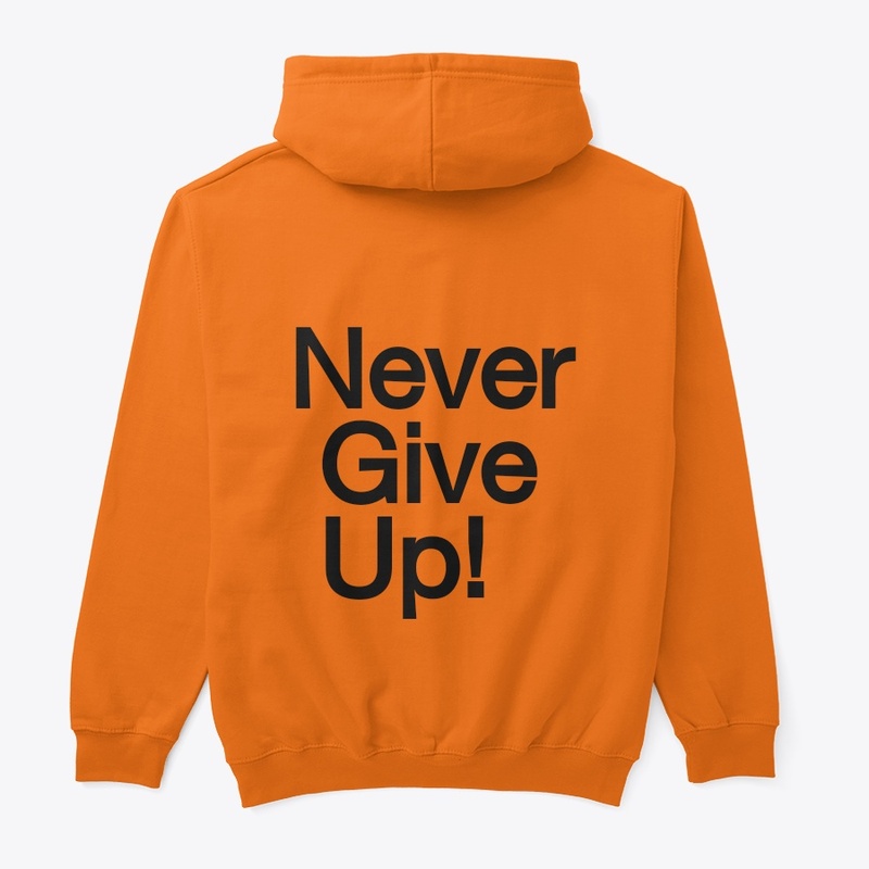 Never Give u
