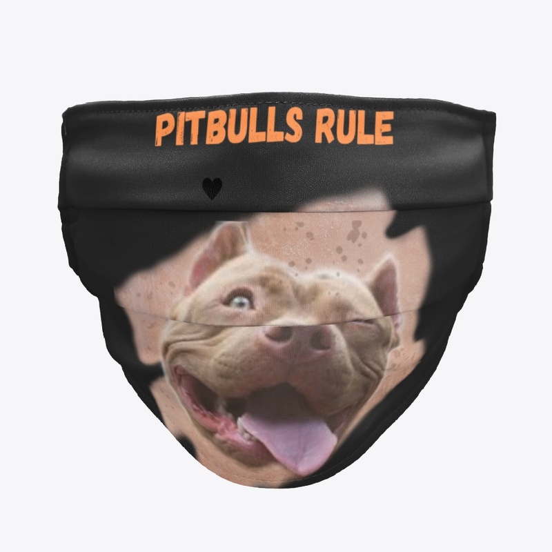 American Pitbull Terrier