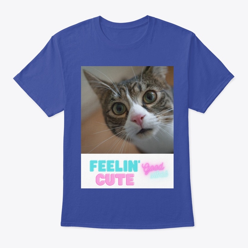 Sweet cat