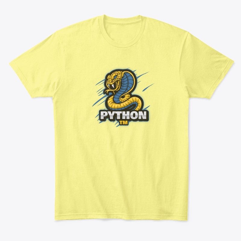 Python 