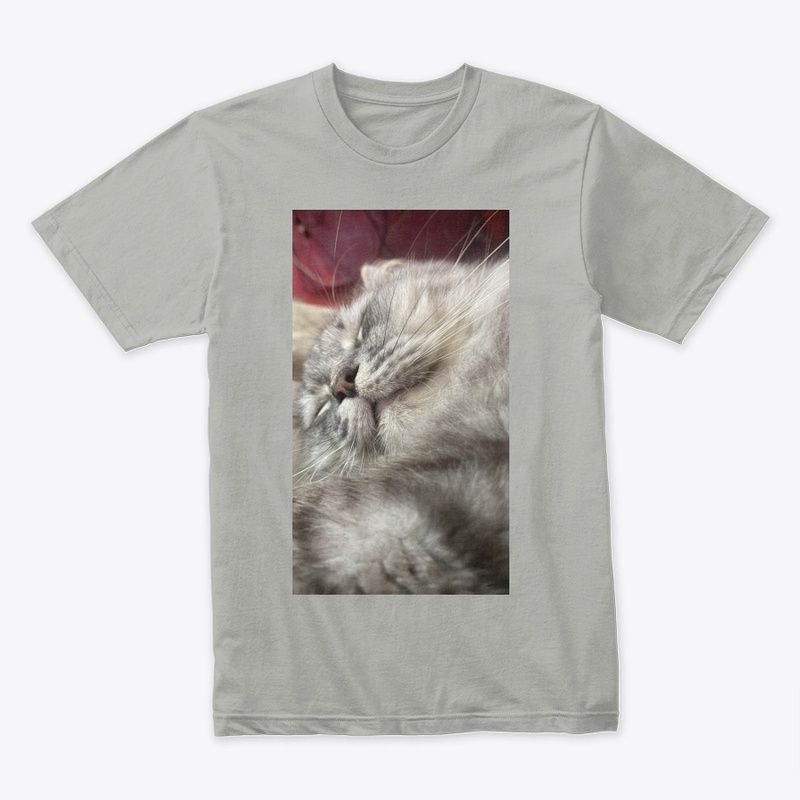 Gunday Cat