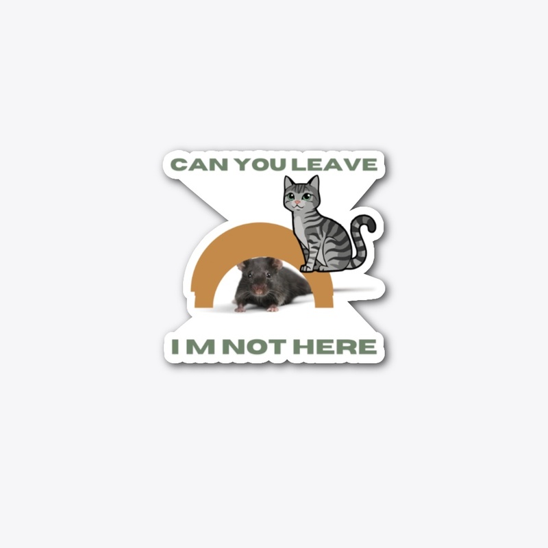 Sly cat