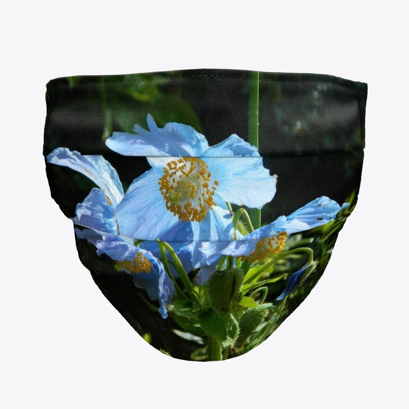 Green Mask Meconopsis