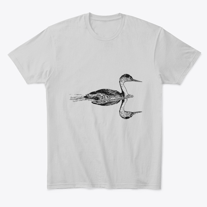 Clark's Grebe - Birdwatching