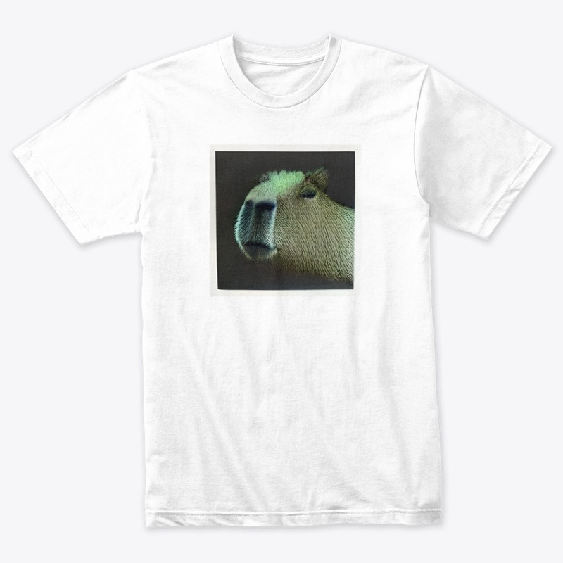 Capybara #33