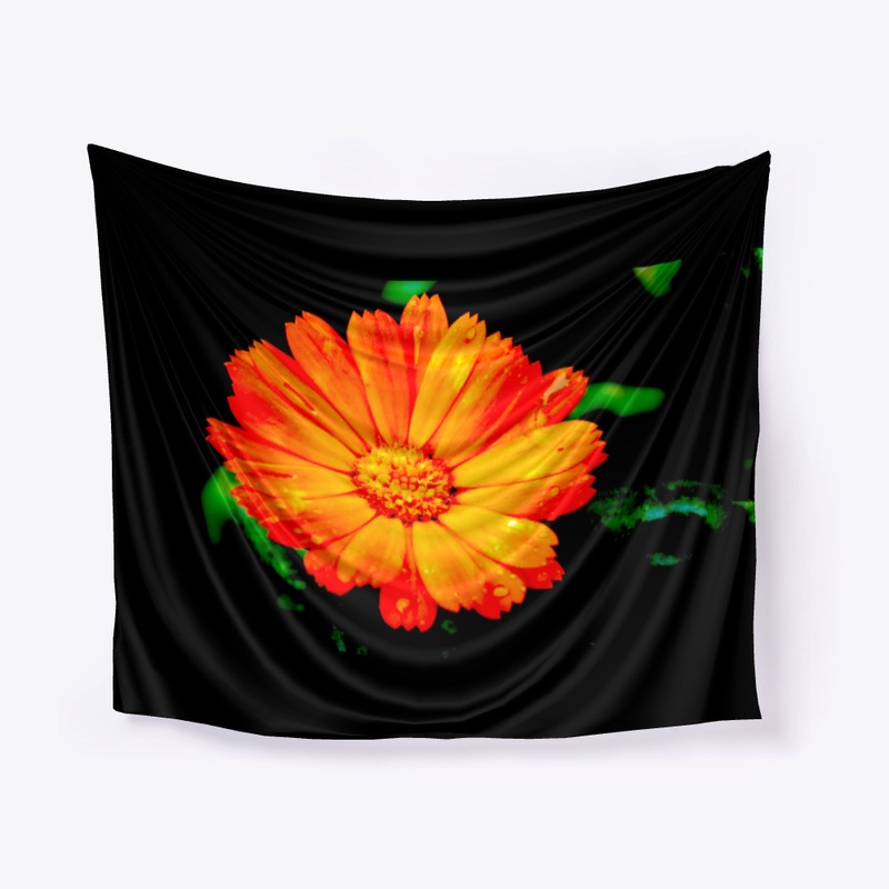 Bring spring into your home!