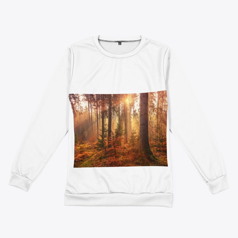 Value12 Sunshine in the forest
