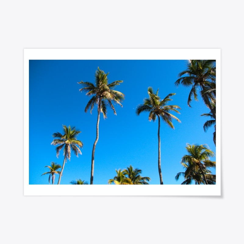 South Beach