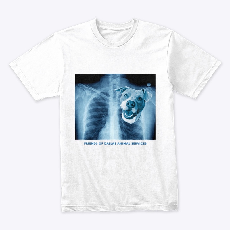 x-ray of my heart