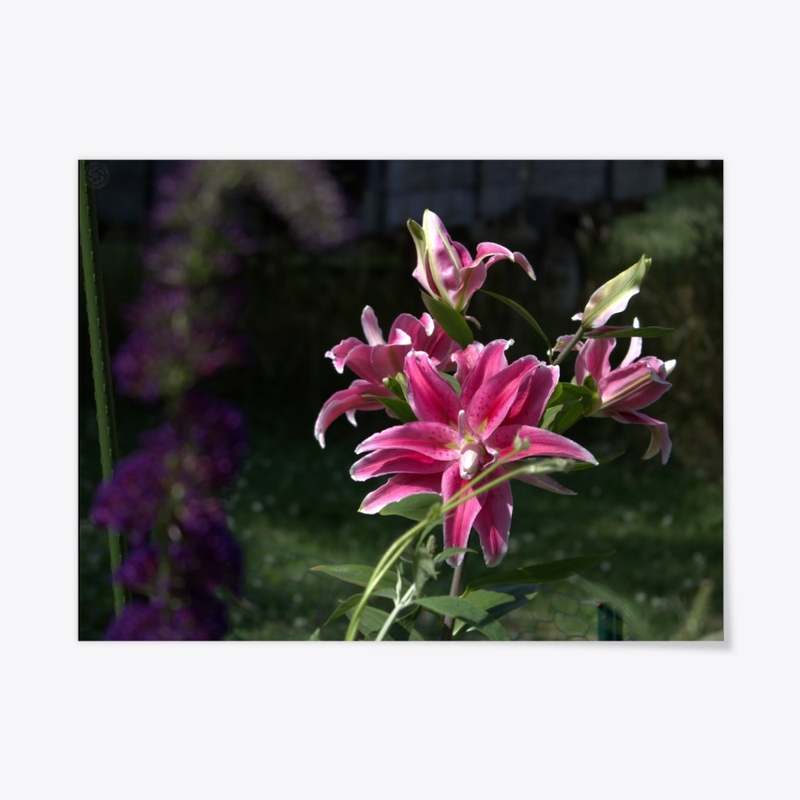 Flowers 8