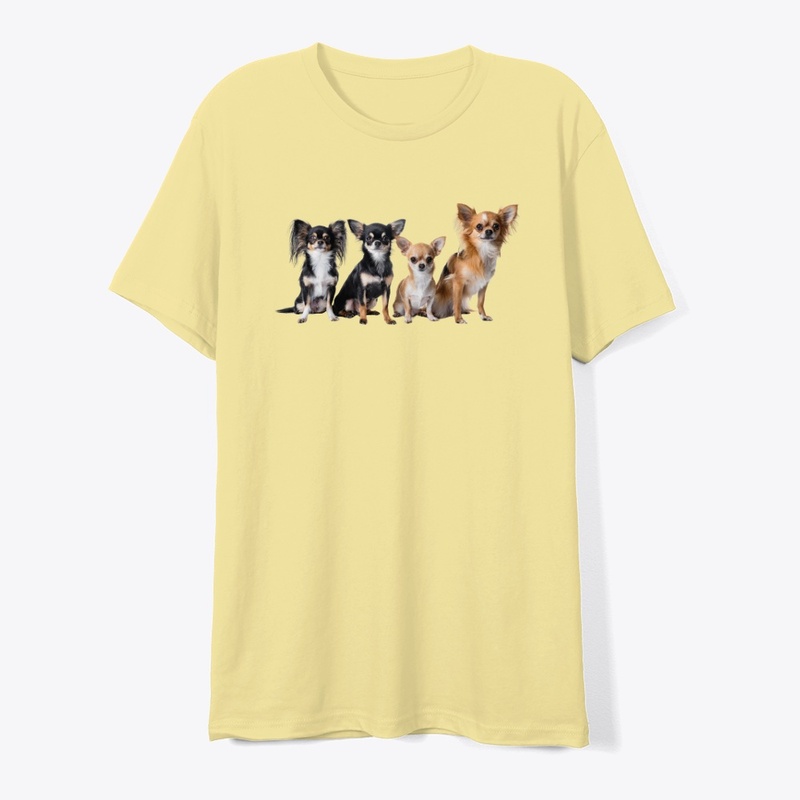 Chihuahua