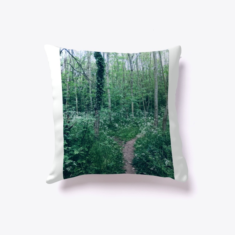 Woodland walkway