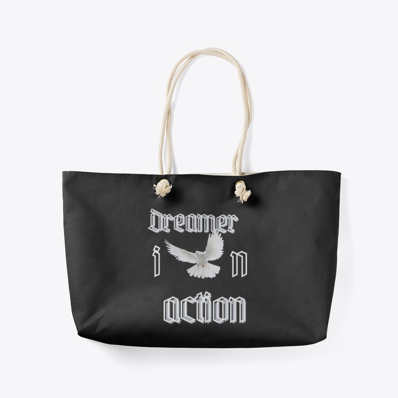 Dreamer in Action 
