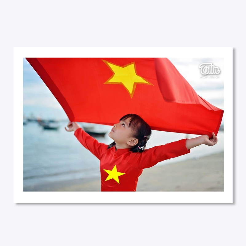 vietnam baby flag