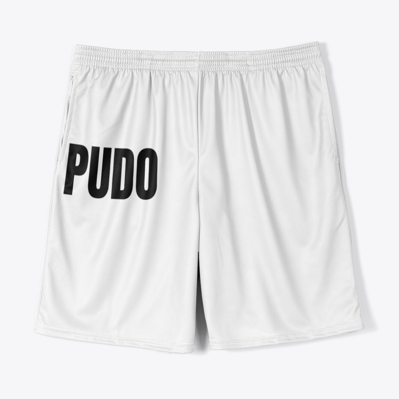 Pudo