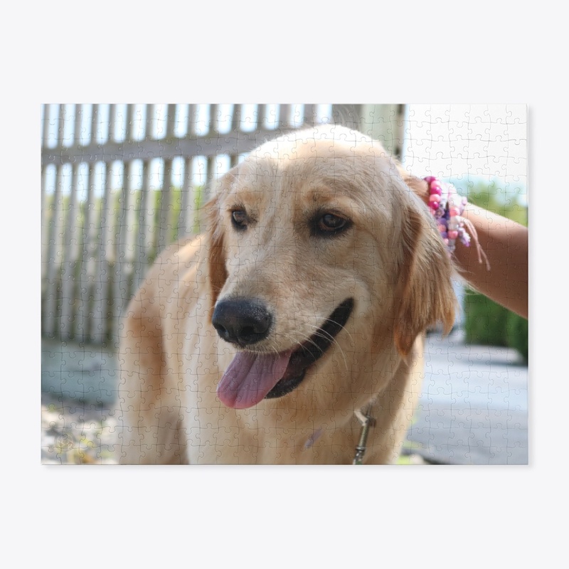 Dog 4