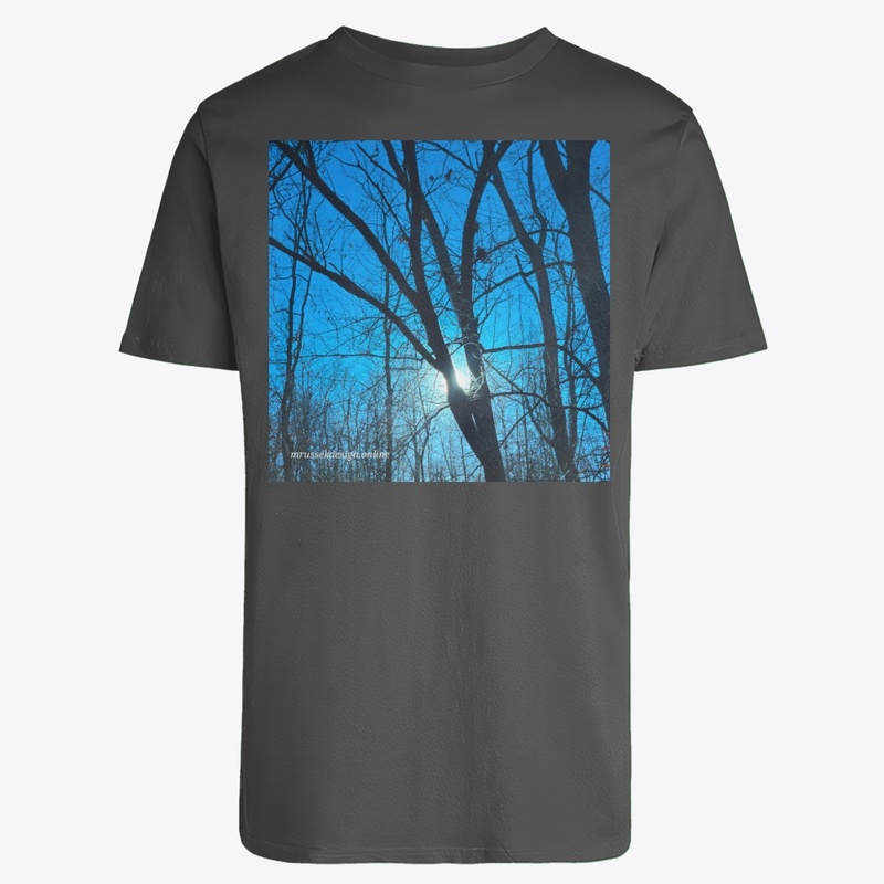 Winter light is beautiful 