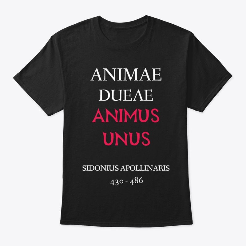 Animae Dueae Animus Unus latin quote