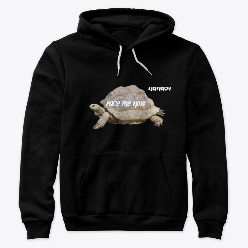 Tortoise race me now 