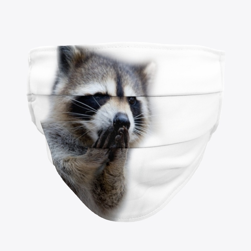 Racoon