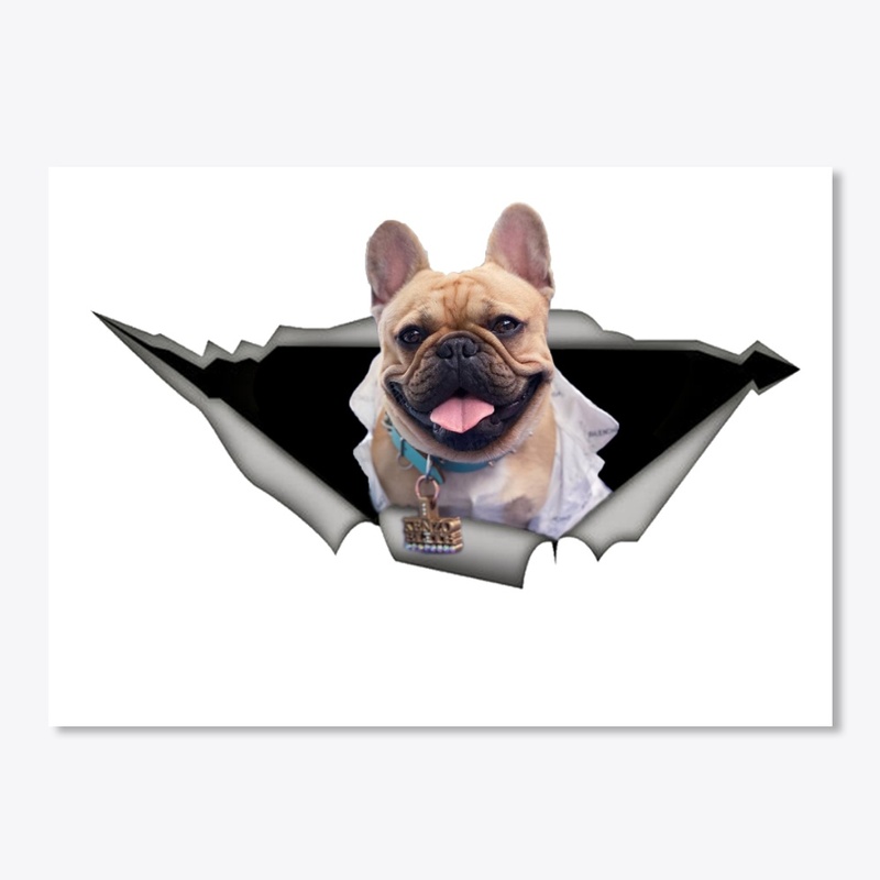 Frenchie funny sticker car decal