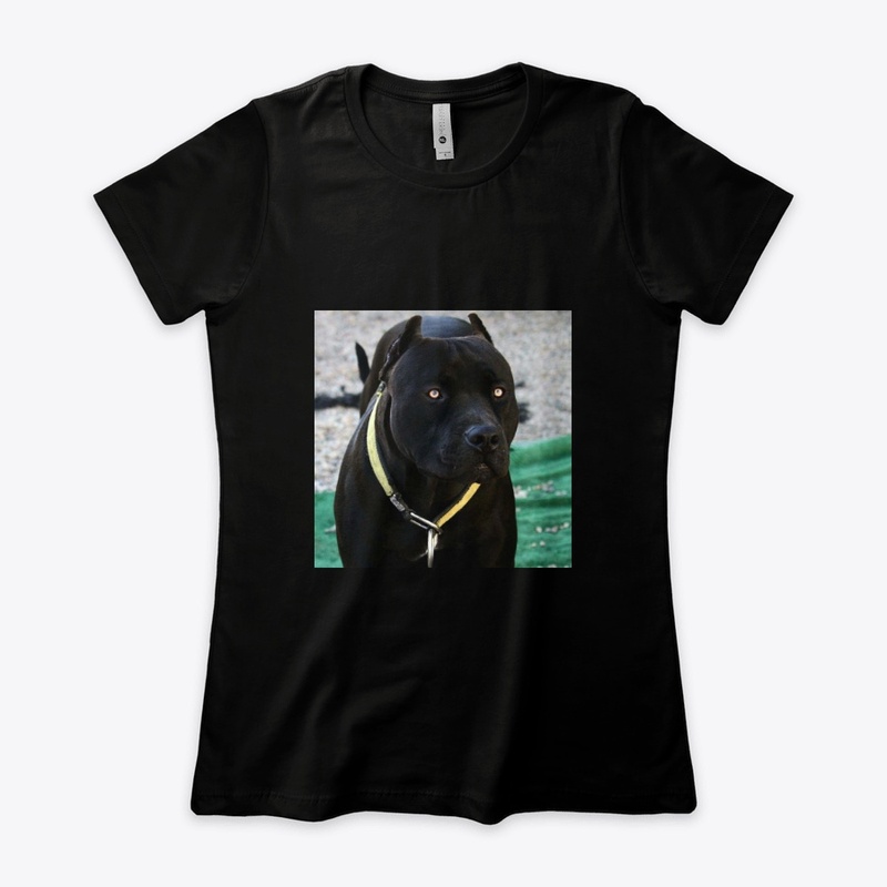Pitbulls Black