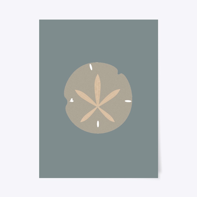 The Sand Dollar Got Beach?