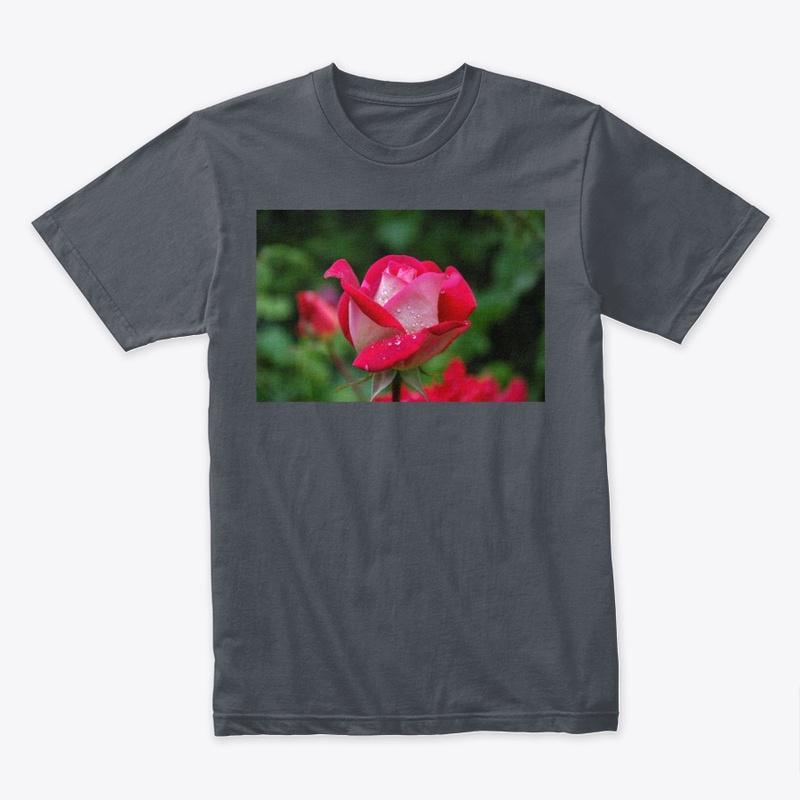 Teshirt