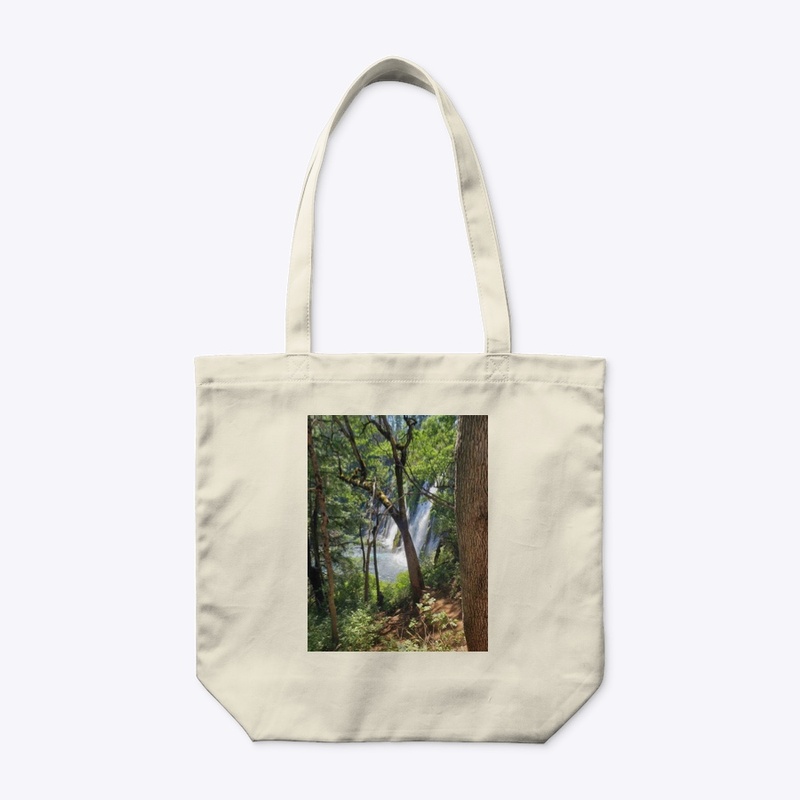 Forest Waterfall scene